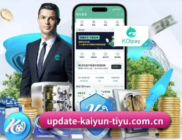 开云入口 APP 深度功能