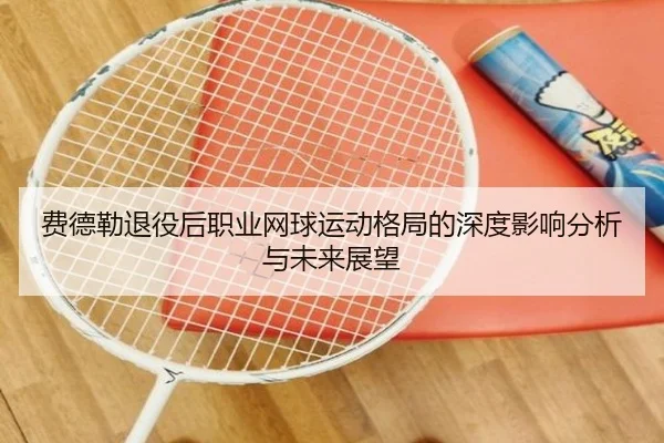 费德勒退役后职业网球运动格局的深度影响分析与未来展望